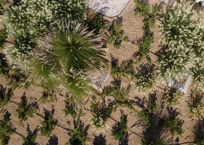 Milagro 4br With Sea View